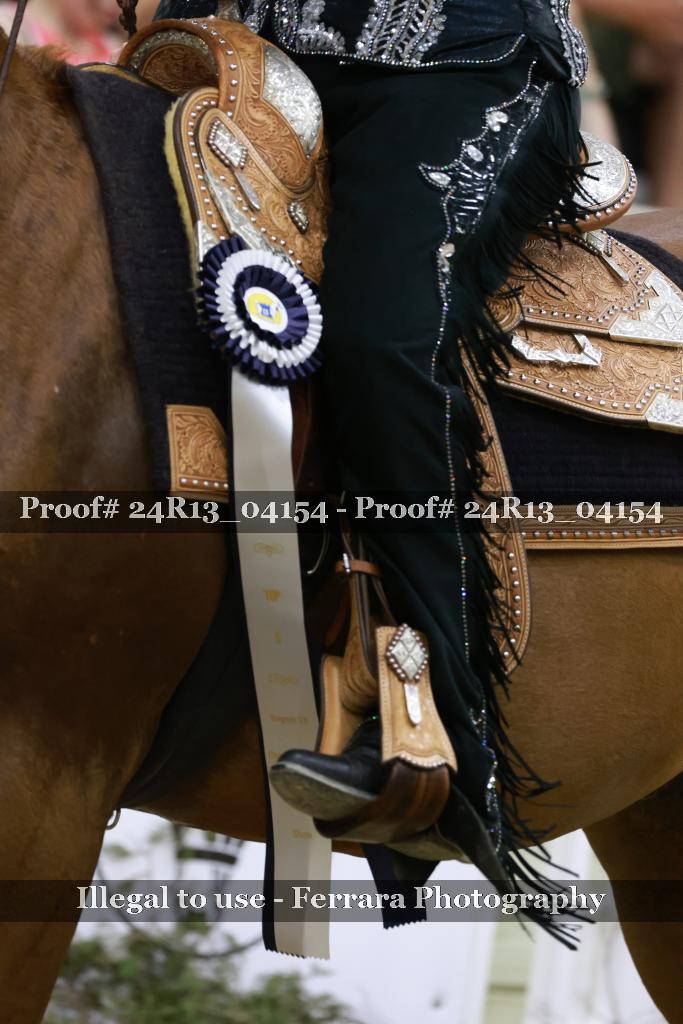 Proof Number 24R13_04154