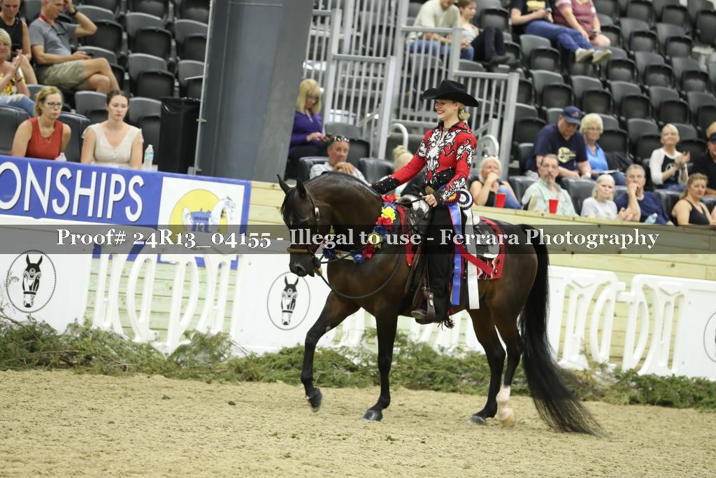 Proof Number 24R13_04155
