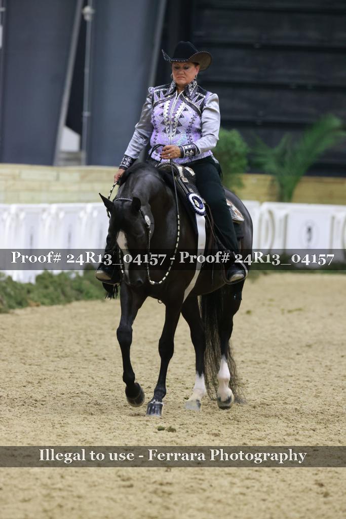 Proof Number 24R13_04157