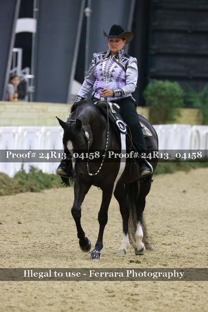 Proof Number 24R13_04158