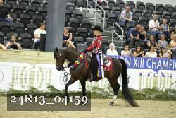 24R13_04159 thumbnail
