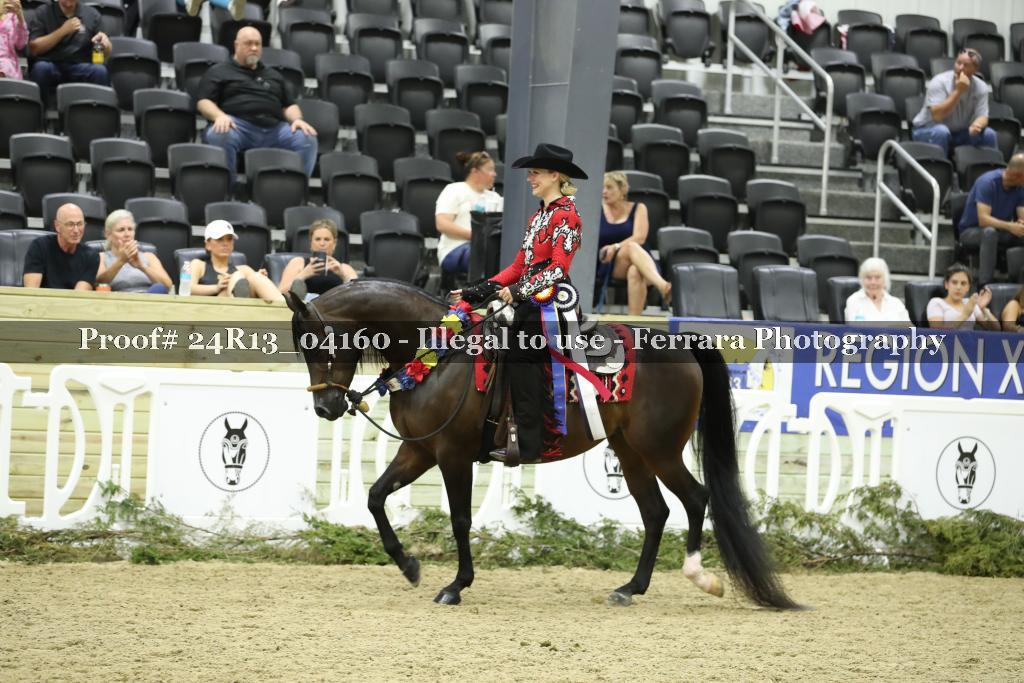 Proof Number 24R13_04160