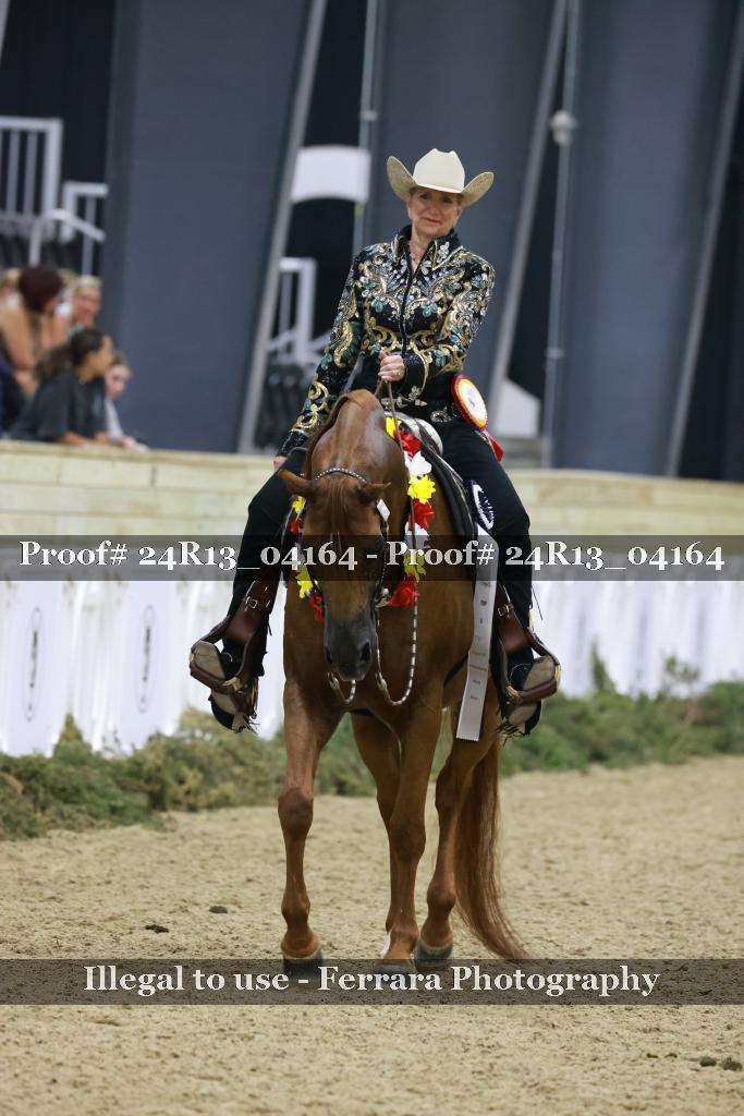 Proof Number 24R13_04164