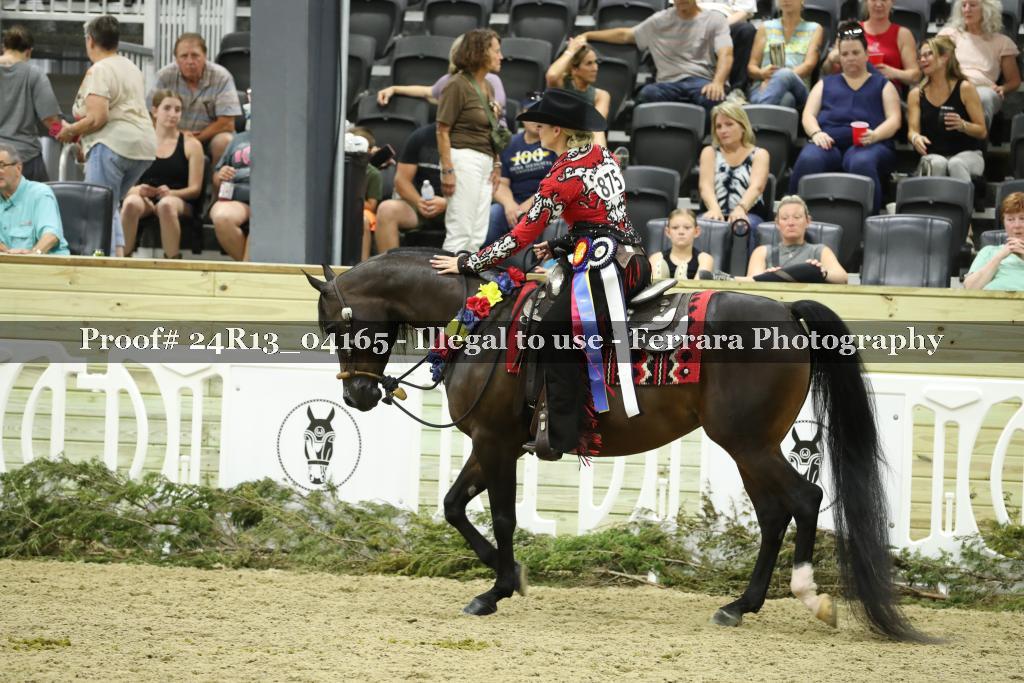 Proof Number 24R13_04165