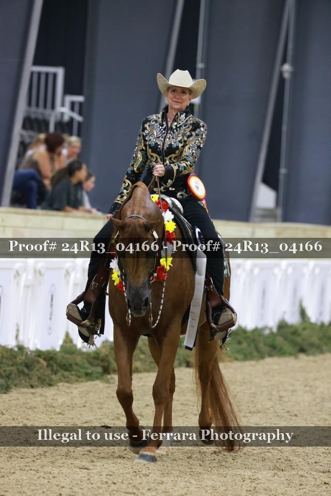 Proof Number 24R13_04166