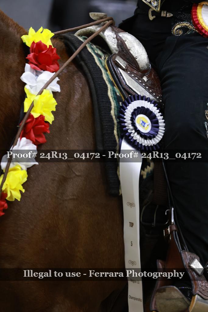 Proof Number 24R13_04172