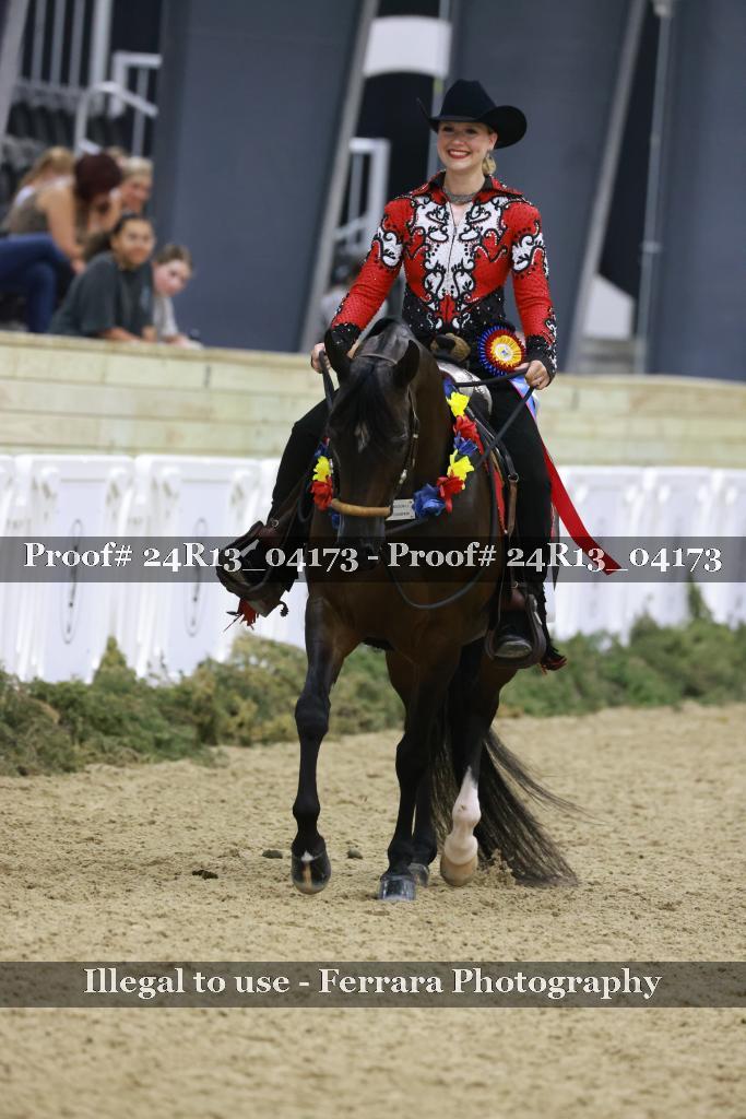 Proof Number 24R13_04173