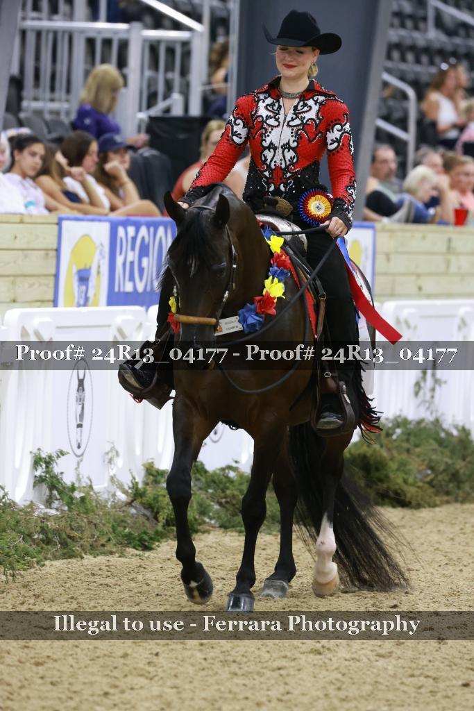 Proof Number 24R13_04177