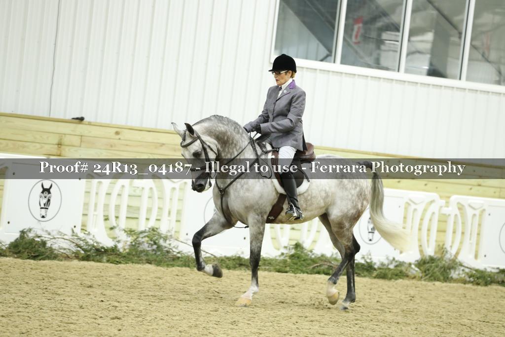 Proof Number 24R13_04187