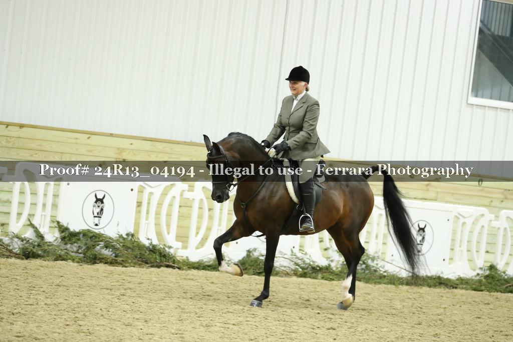 Proof Number 24R13_04194