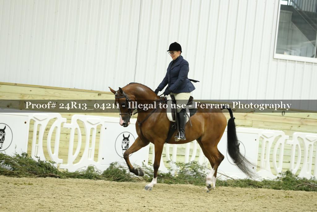 Proof Number 24R13_04211