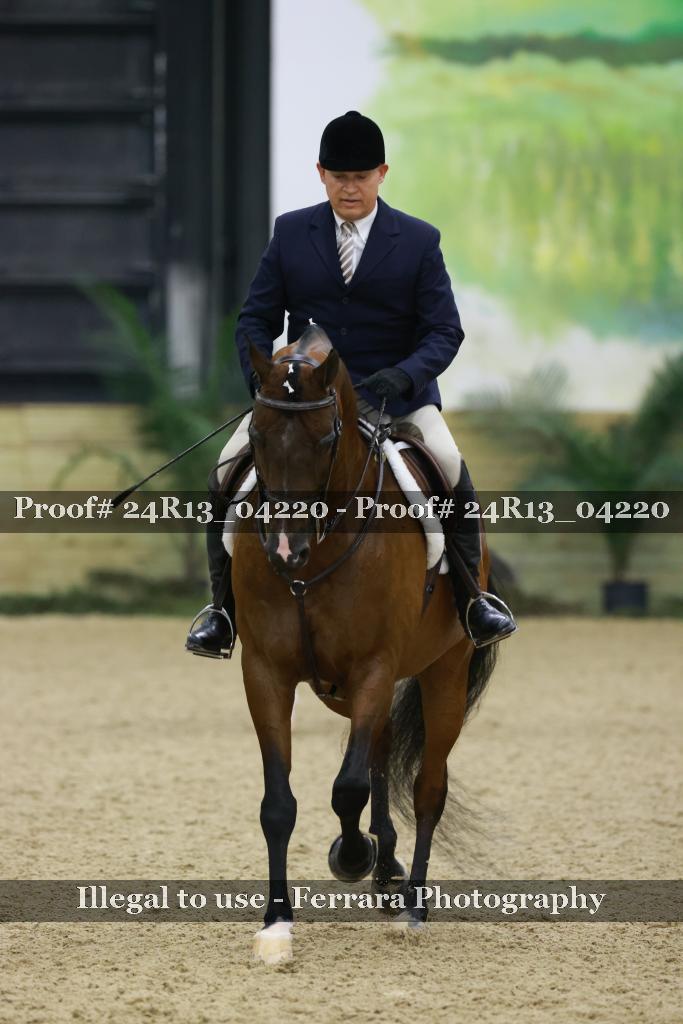 Proof Number 24R13_04220