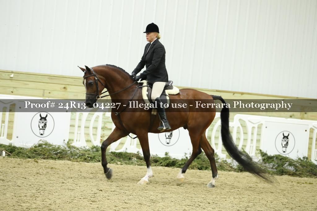 Proof Number 24R13_04227
