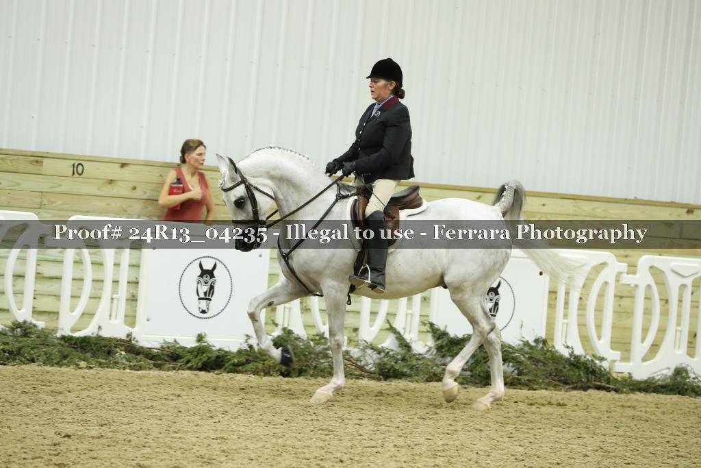 Proof Number 24R13_04235