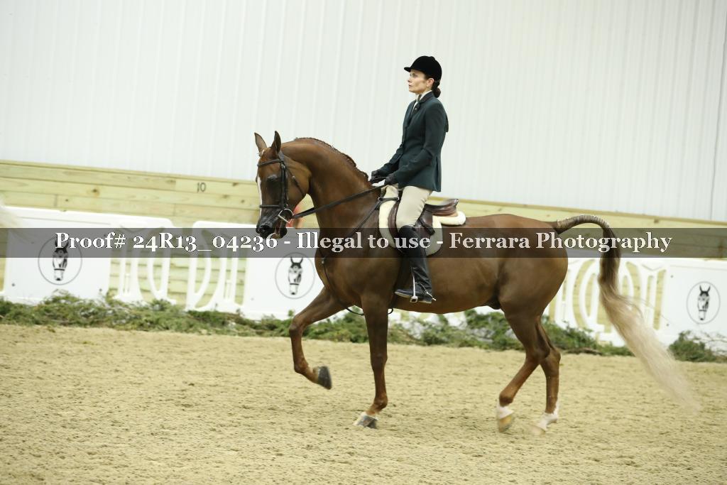 Proof Number 24R13_04236
