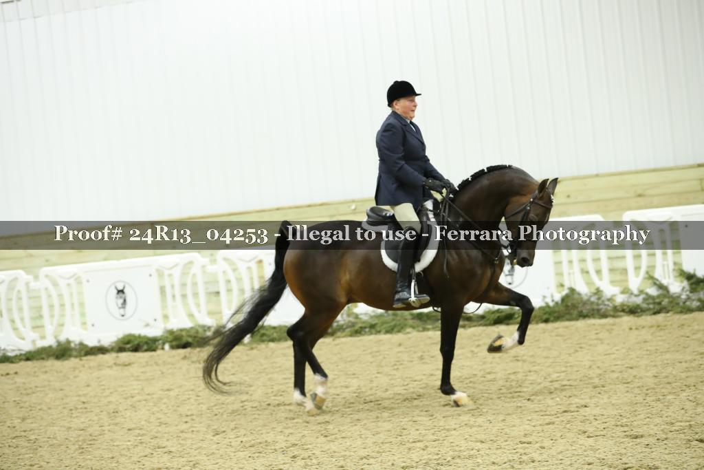 Proof Number 24R13_04253