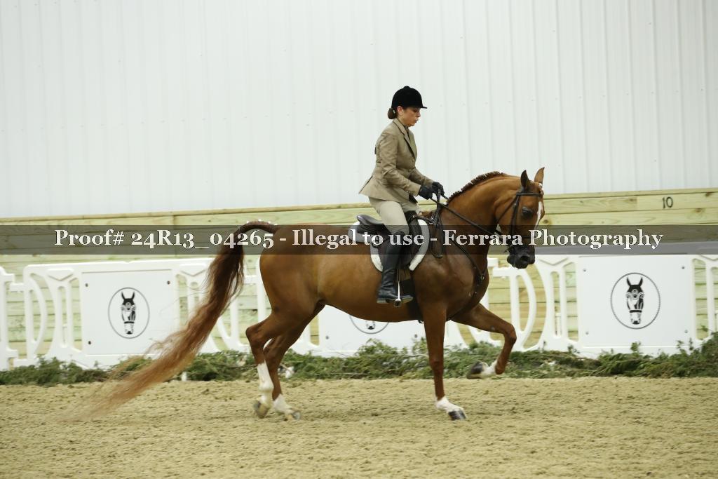Proof Number 24R13_04265