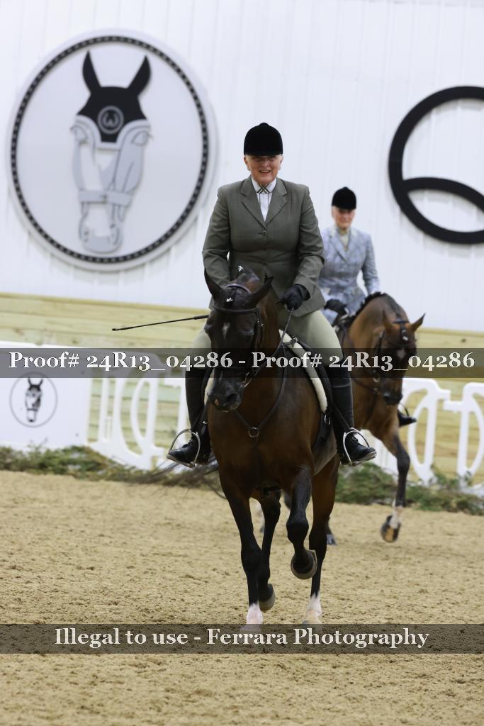 Proof Number 24R13_04286
