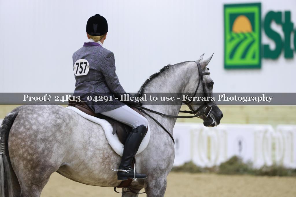 Proof Number 24R13_04291
