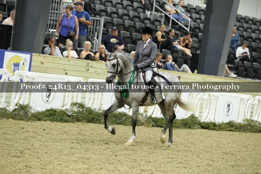 Proof Number 24R13_04313