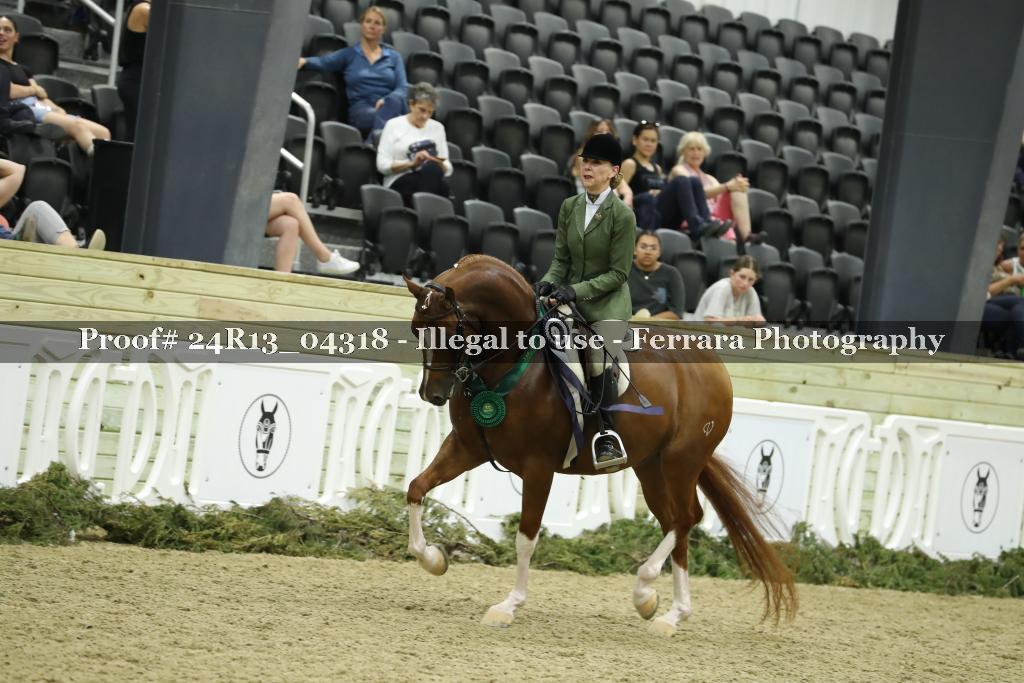 Proof Number 24R13_04318