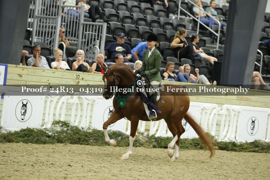 Proof Number 24R13_04319