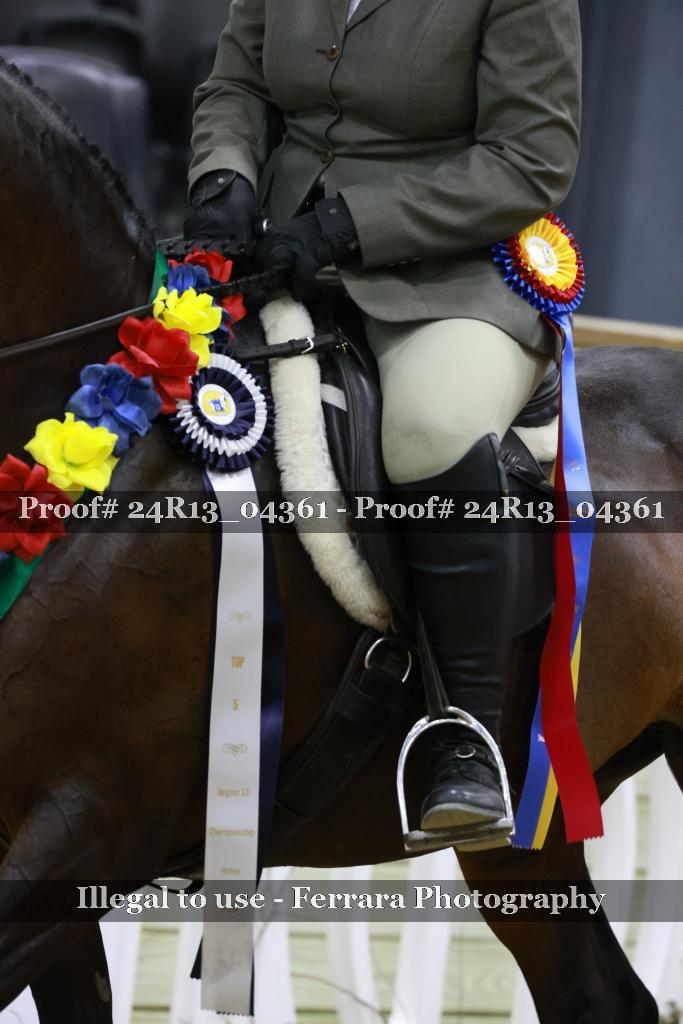 Proof Number 24R13_04361