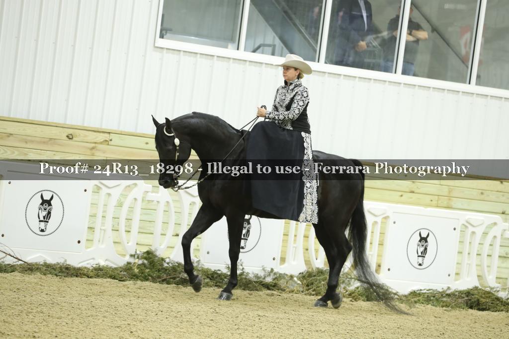 Proof Number 24R13_18298