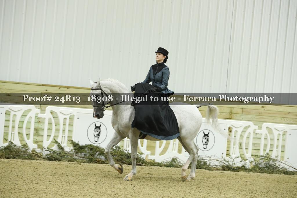 Proof Number 24R13_18308