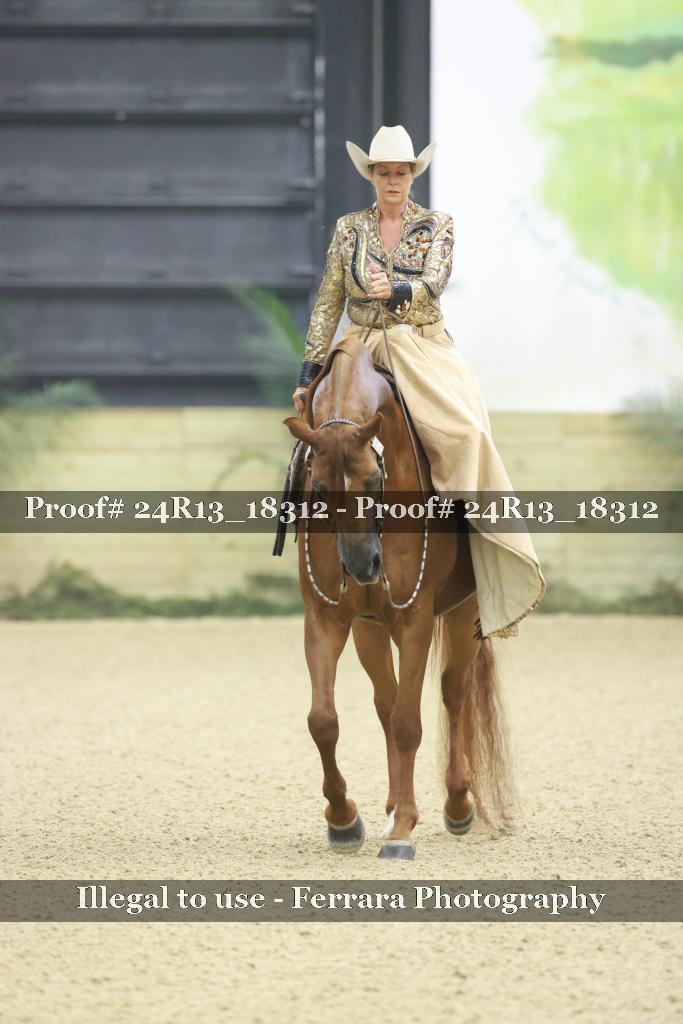 Proof Number 24R13_18312