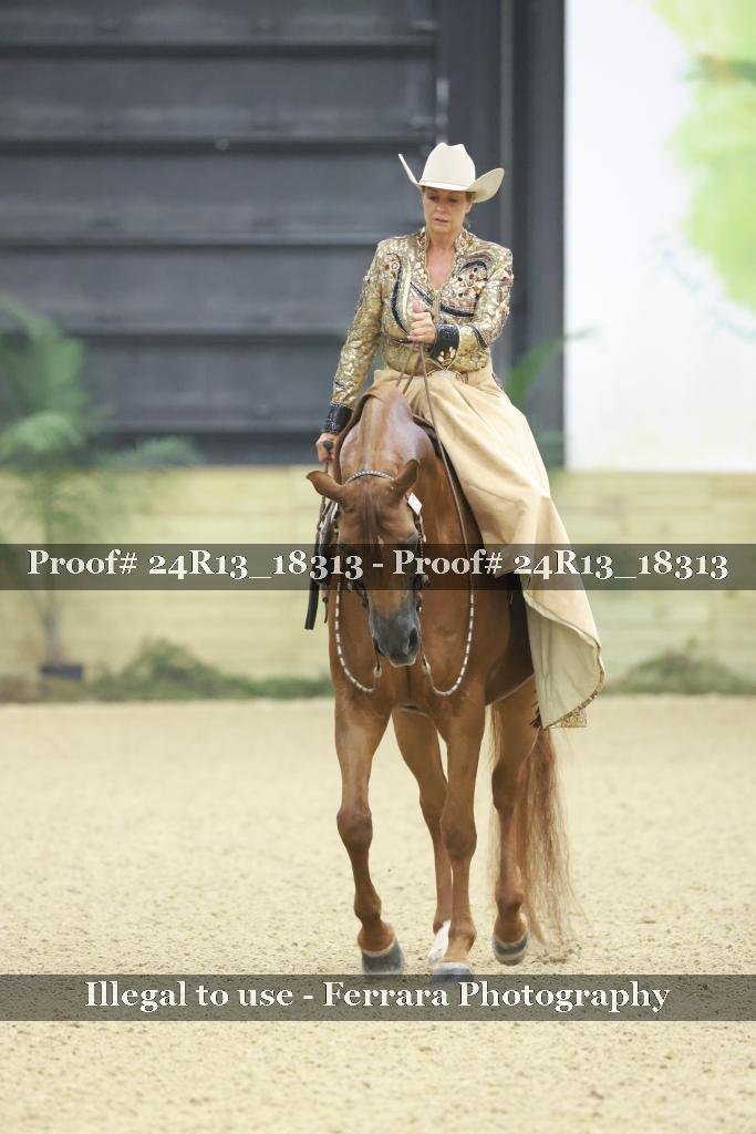 Proof Number 24R13_18313