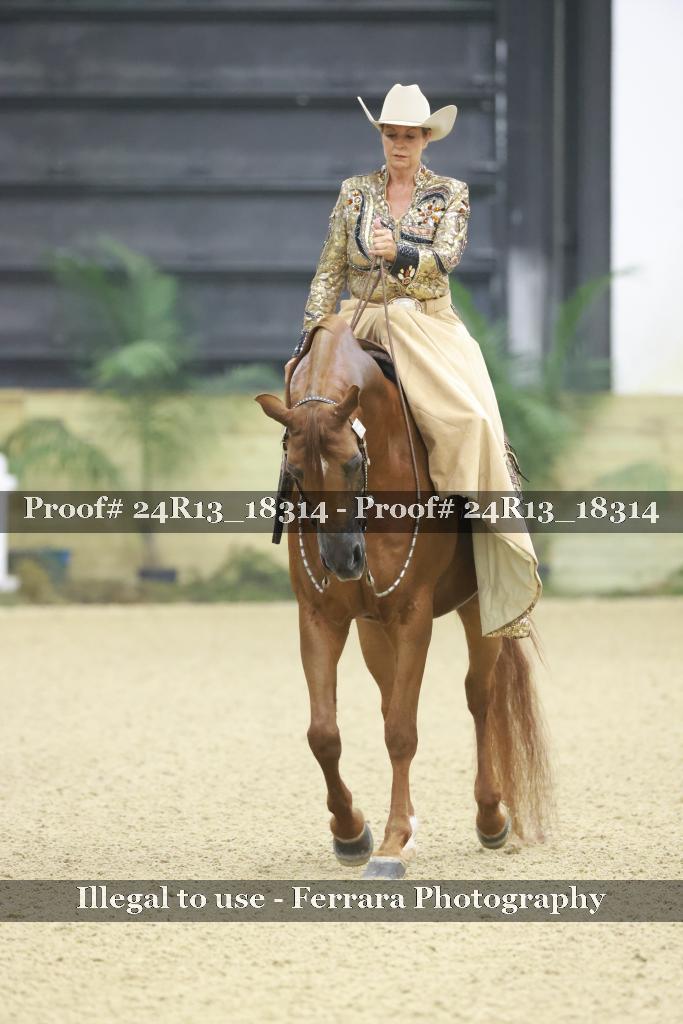 Proof Number 24R13_18314