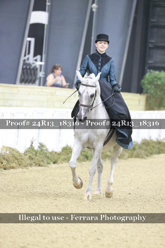 Proof Number 24R13_18316