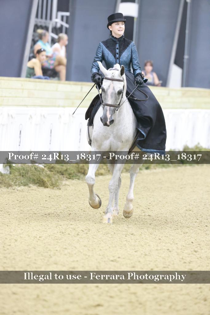 Proof Number 24R13_18317
