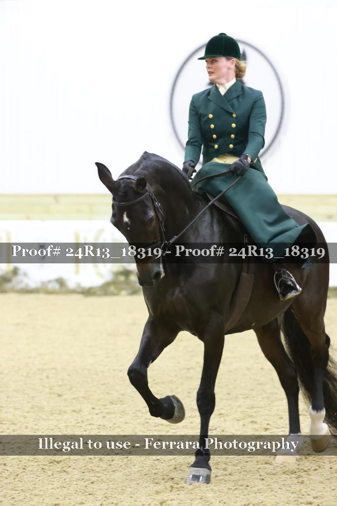Proof Number 24R13_18319