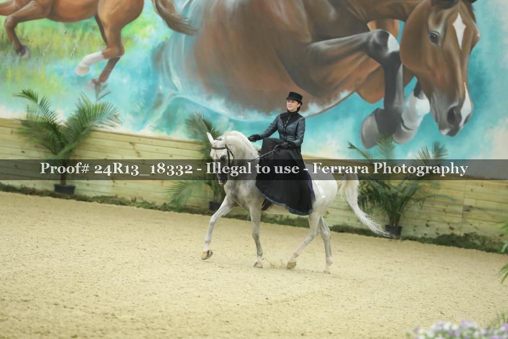 Proof Number 24R13_18332
