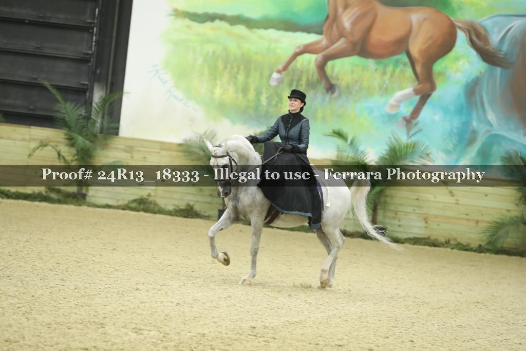 Proof Number 24R13_18333