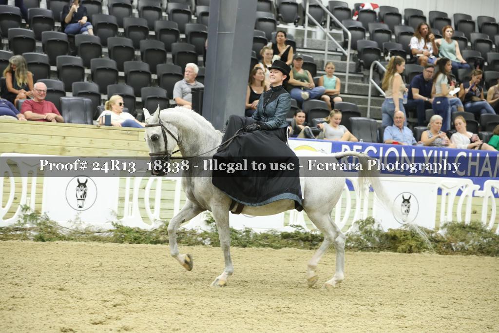 Proof Number 24R13_18338