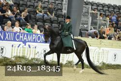 24R13_18345 thumbnail