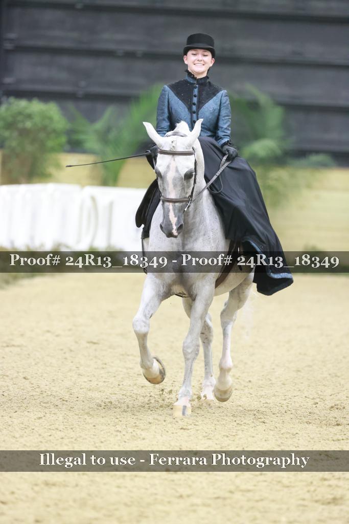 Proof Number 24R13_18349
