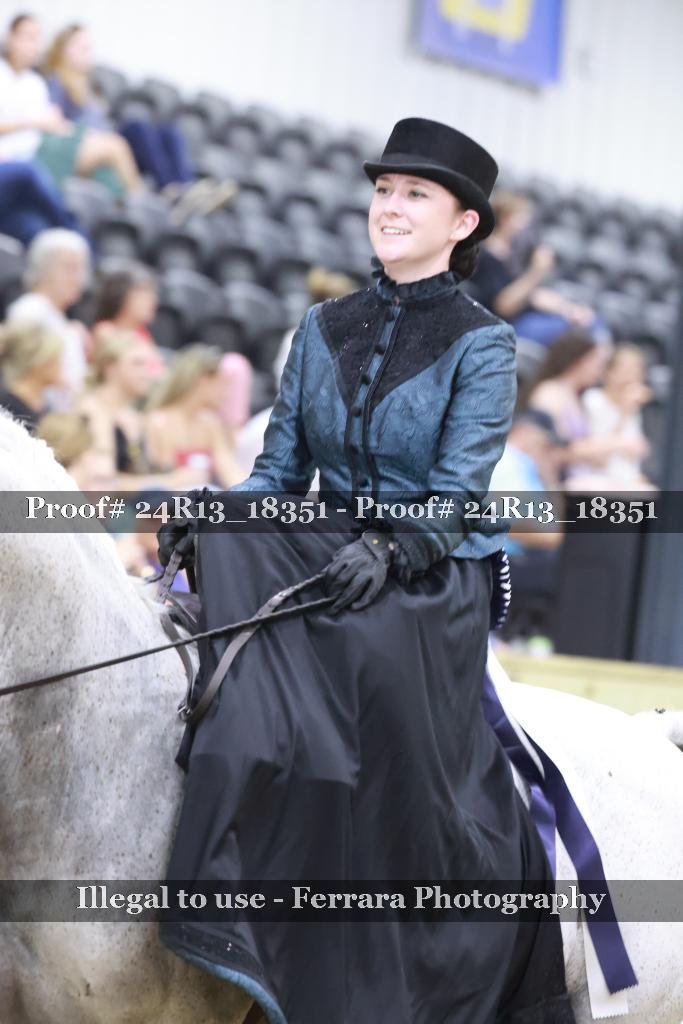 Proof Number 24R13_18351