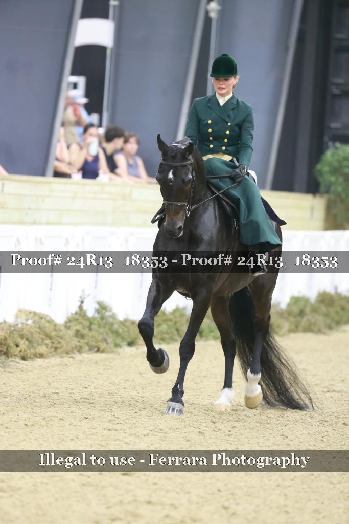 Proof Number 24R13_18353