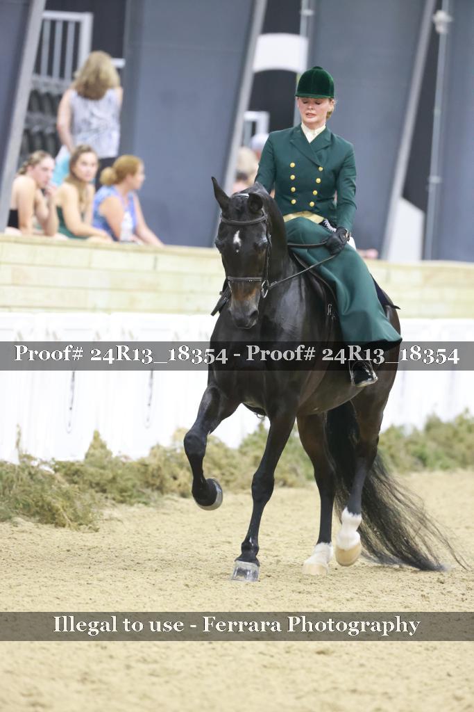 Proof Number 24R13_18354
