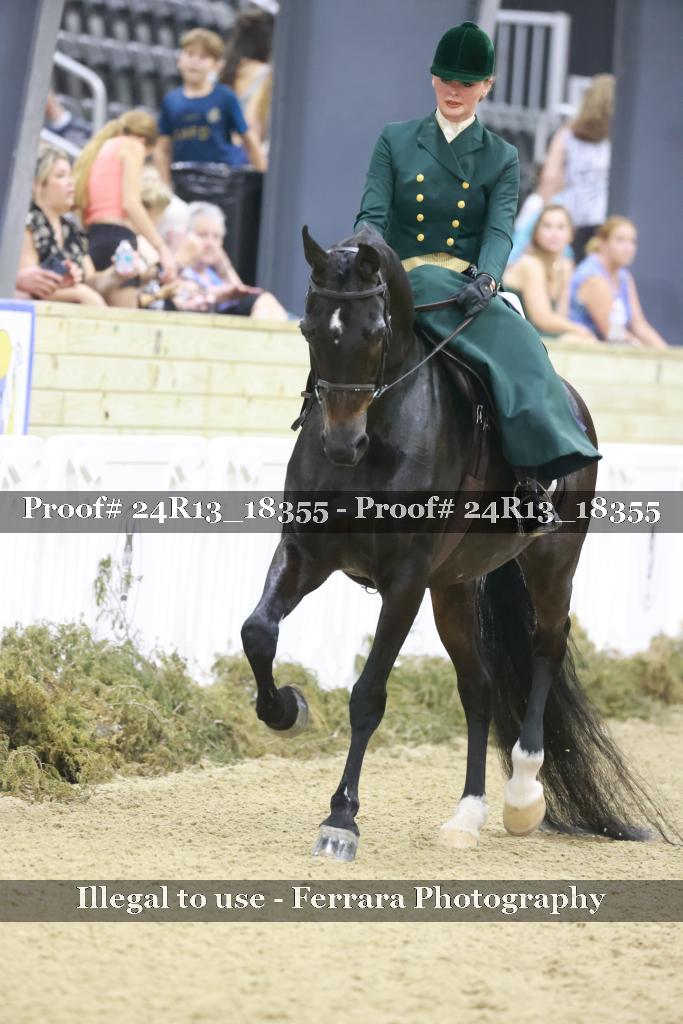 Proof Number 24R13_18355