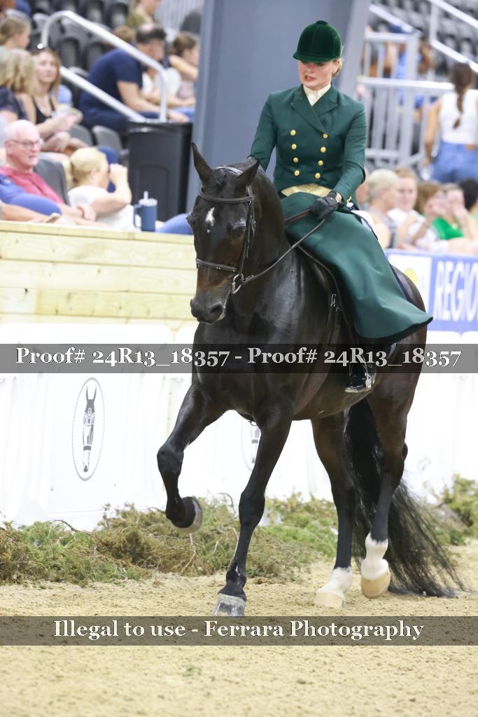 Proof Number 24R13_18357