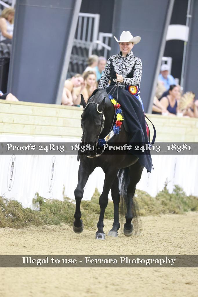 Proof Number 24R13_18381