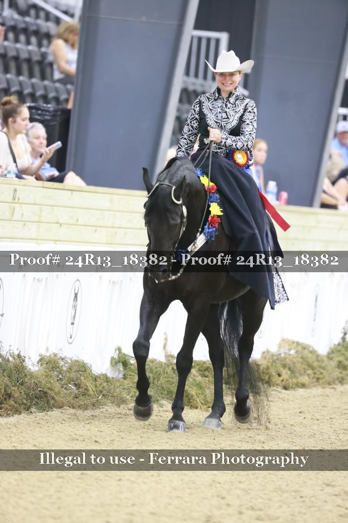 Proof Number 24R13_18382