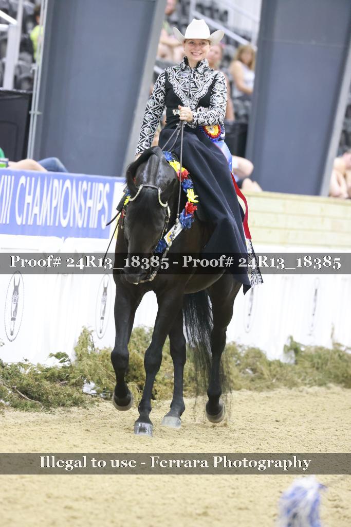 Proof Number 24R13_18385