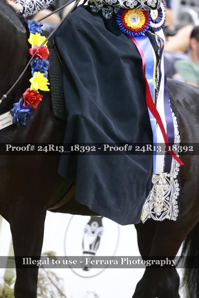 Proof Number 24R13_18392