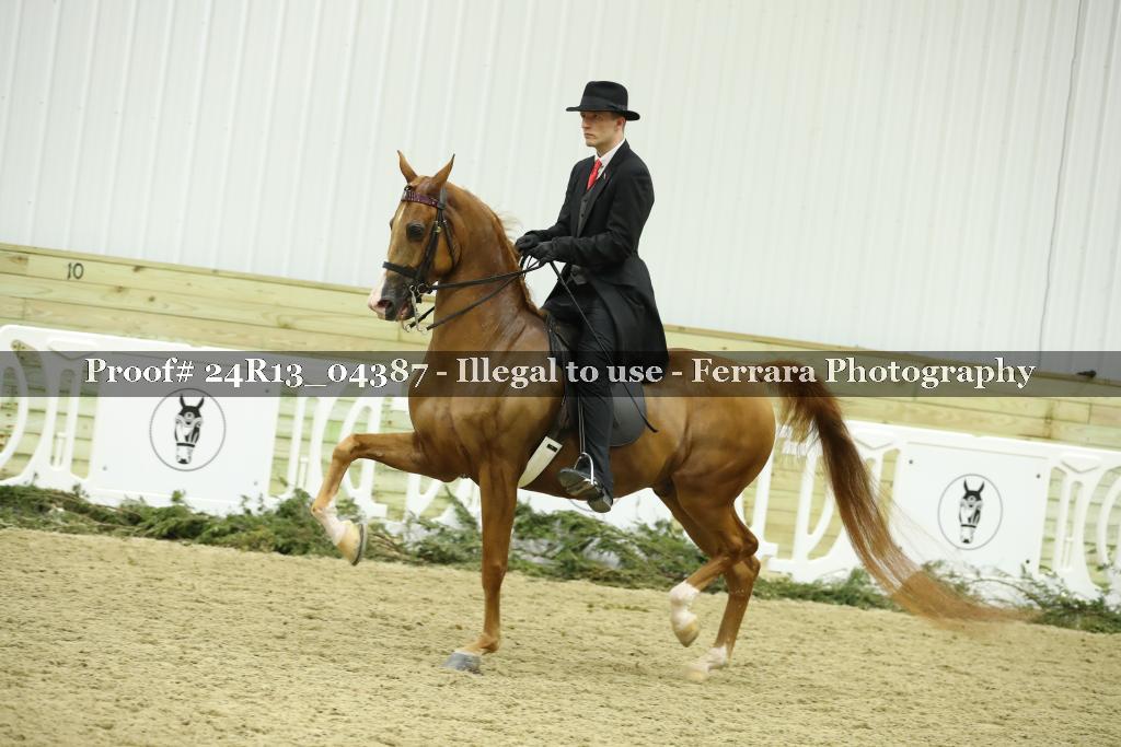 Proof Number 24R13_04387